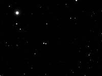 m40 3-19-04-039
